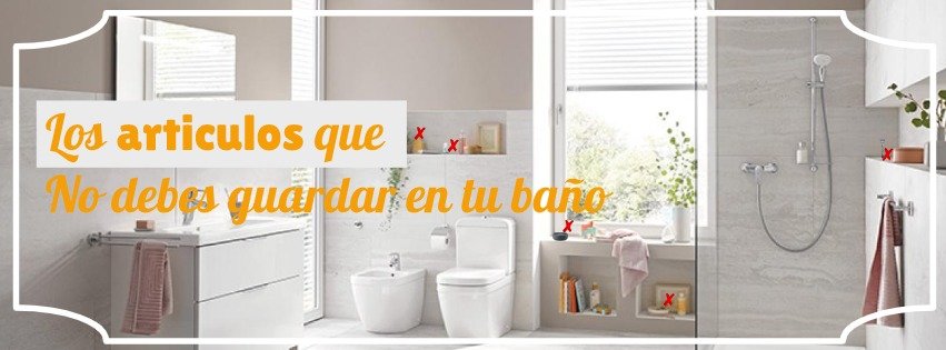 El Baño es el segundo lugar que más limpiamos a profundidad, pero no se salva de que ciertos artículos alberguen gérmenes y bacterias debido a la humedad que almacena en este sitio por causa de las duchas.