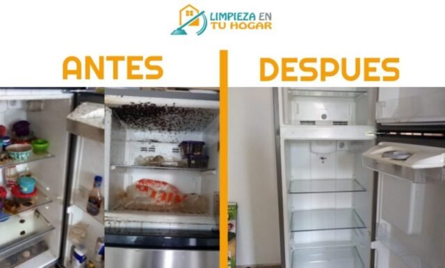 Limpieza profunda de refrigerador antes y después CDMX"