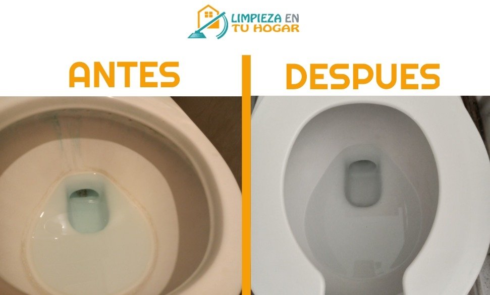 Antes y despues inodoro