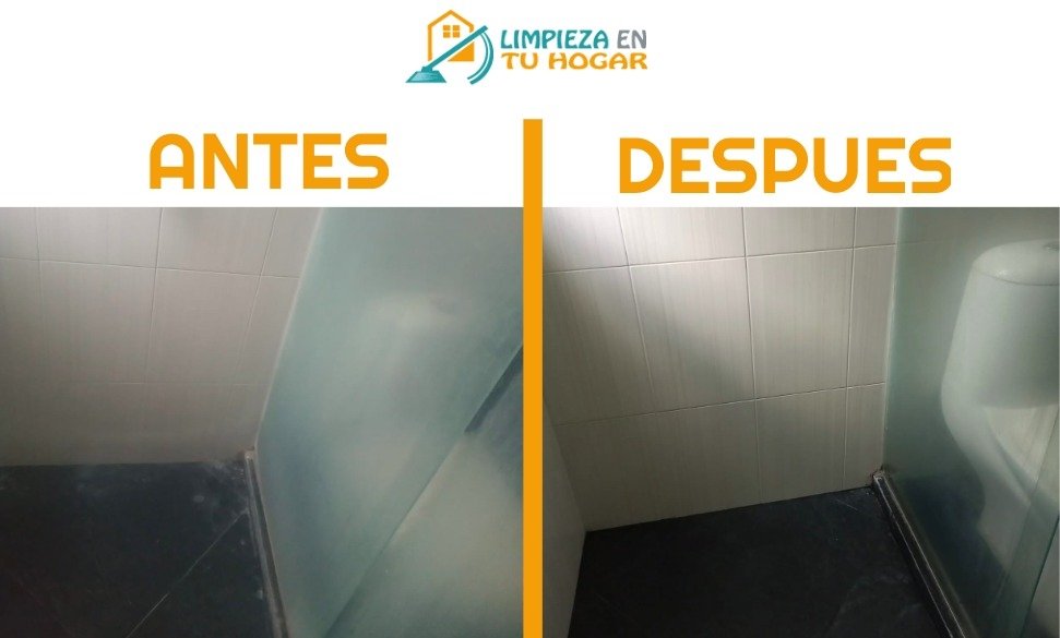 Antes y despues regadera limpieza