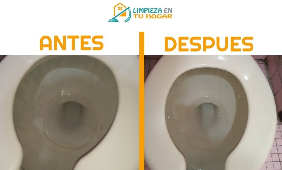 Antes y despues wc Limpieza profunda wc