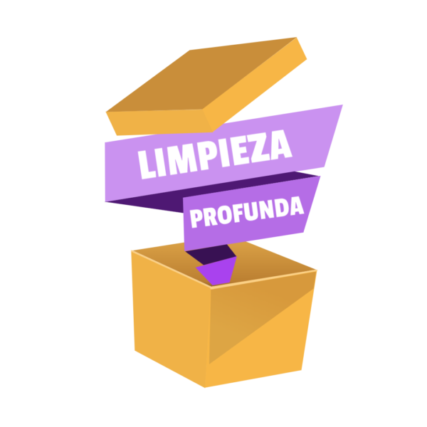 Limpiar la casa a profundidad