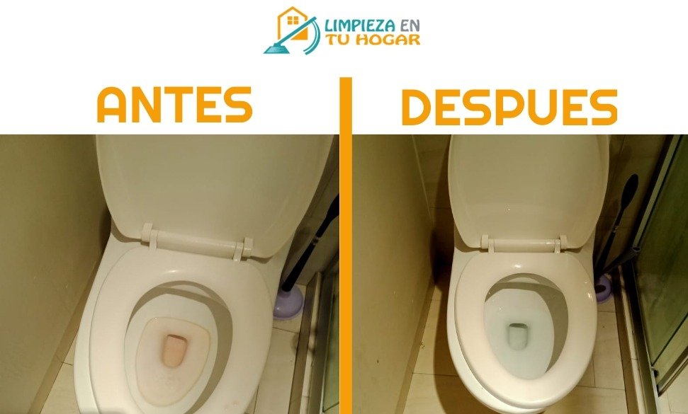 Limpieza profunda baño agencia cdmx