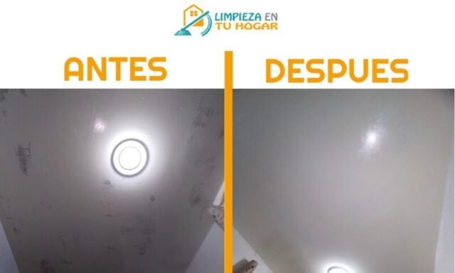 Limpieza techos