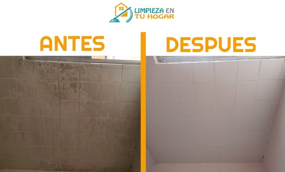 Antes y despues loseta baño ciudad de mexico Limpieza profunda cdmx, departamento, casa, oficina