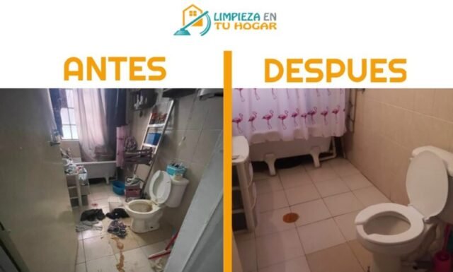 limpieza para casa cdmx