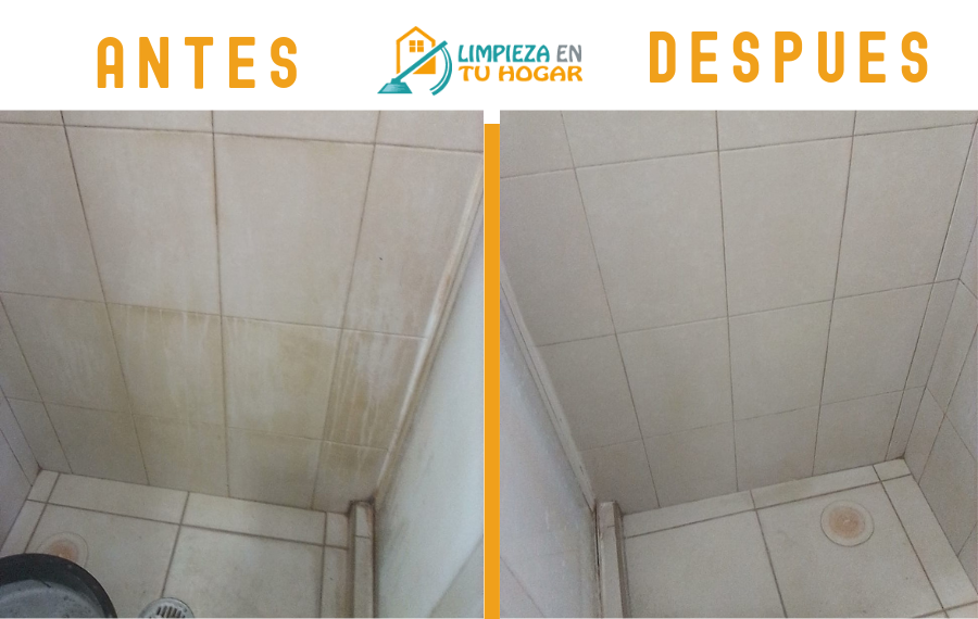 Limpieza profunda regadera cdmx Agencia de limpieza CDMX
