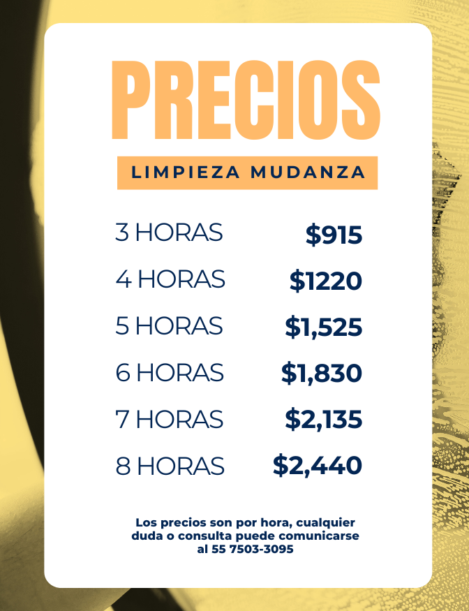 Precios servicio de limpieza mundanza cdmx Limpieza profunda en CDMX