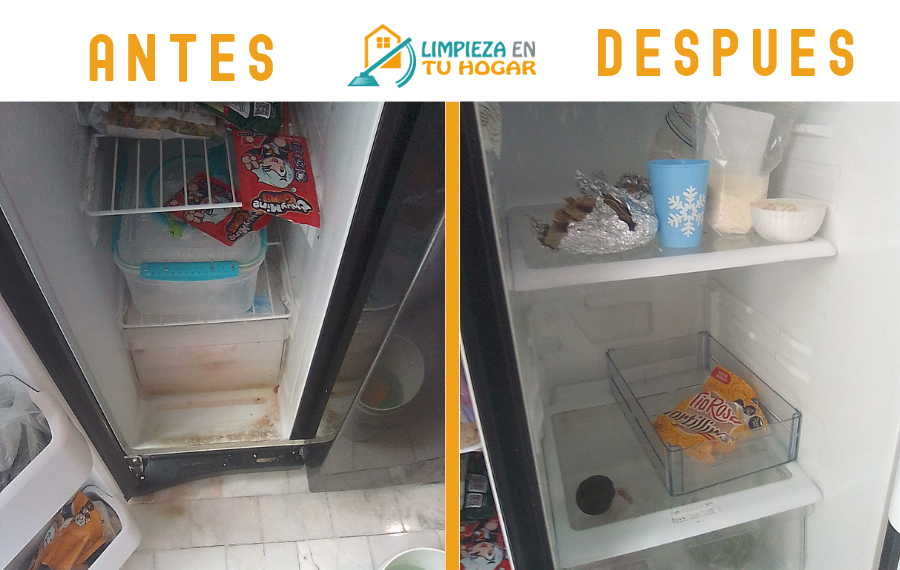Limpieza profunda refrigerador