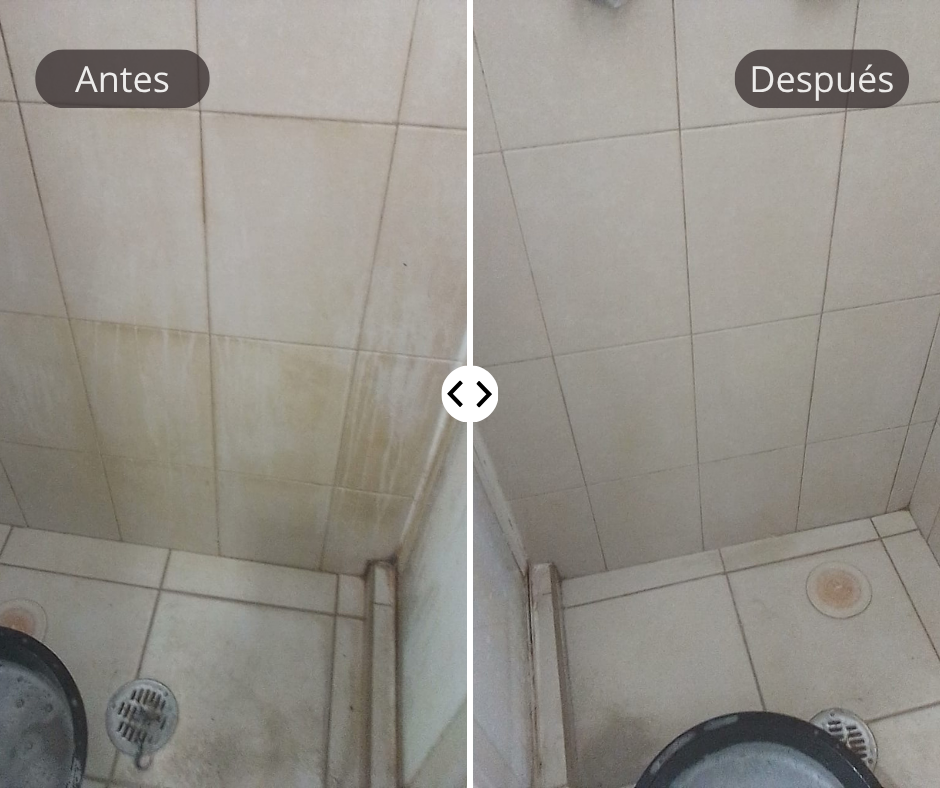 Limpieza profunda azuelejo baño cdmx