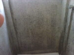 Elimina moho baño CDMX Ciudad México