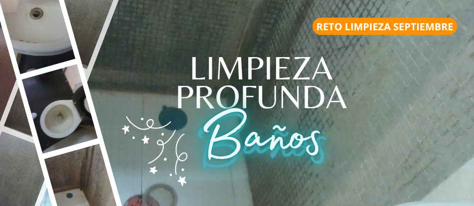 Baño con moho y sarro antes de limpieza profunda CDMX