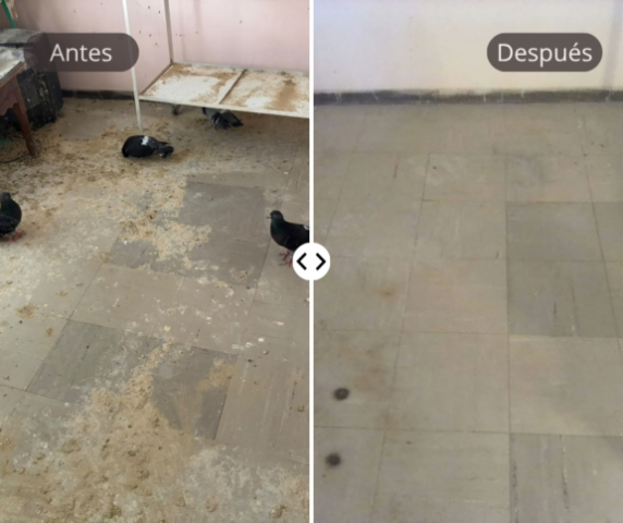 Servicio Limpieza mudanza CDMX (2)